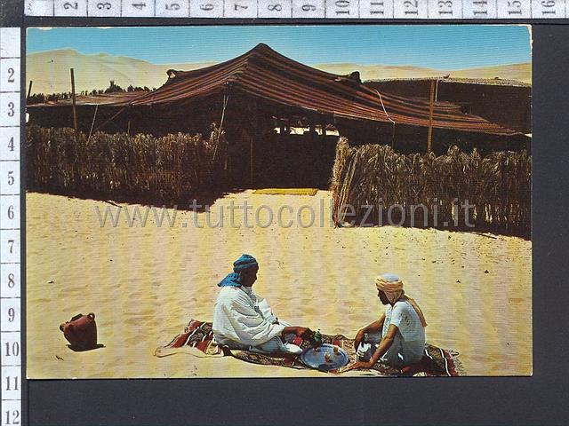 Collezionismo di cartoline postali dell'algeria
